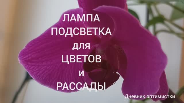 ЛАМПА ПОДСВЕТКА ДЛЯ ЦВЕТОВ И РАССАДЫ, СОБРАЛА САМА смотреть онлайн