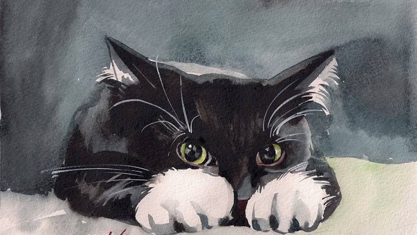 Мой кот Майкл! смотреть онлайн