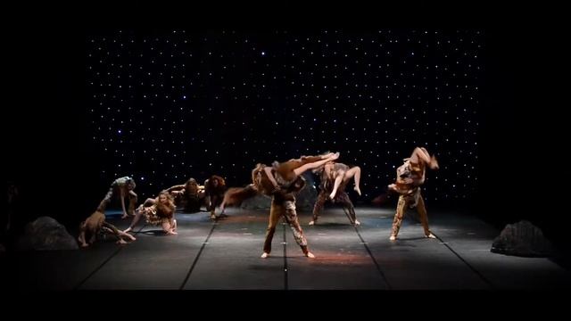 TODES STUDIO VILNIUS "King Lion" смотреть онлайн