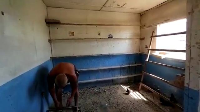 голуби.Гены.(Родненького).с.Н-усмань.Воронежская.обл. смотреть онлайн