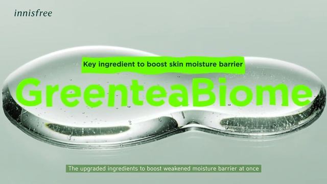 innisfree NEW Green Tea Seed Serum 4.0 смотреть онлайн