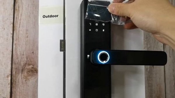 RAYKUBE Smart Lock R-FG5 Program video