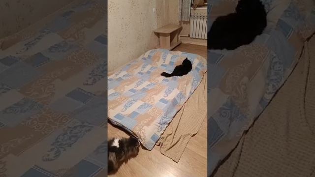 Охрана Кровати смотреть онлайн