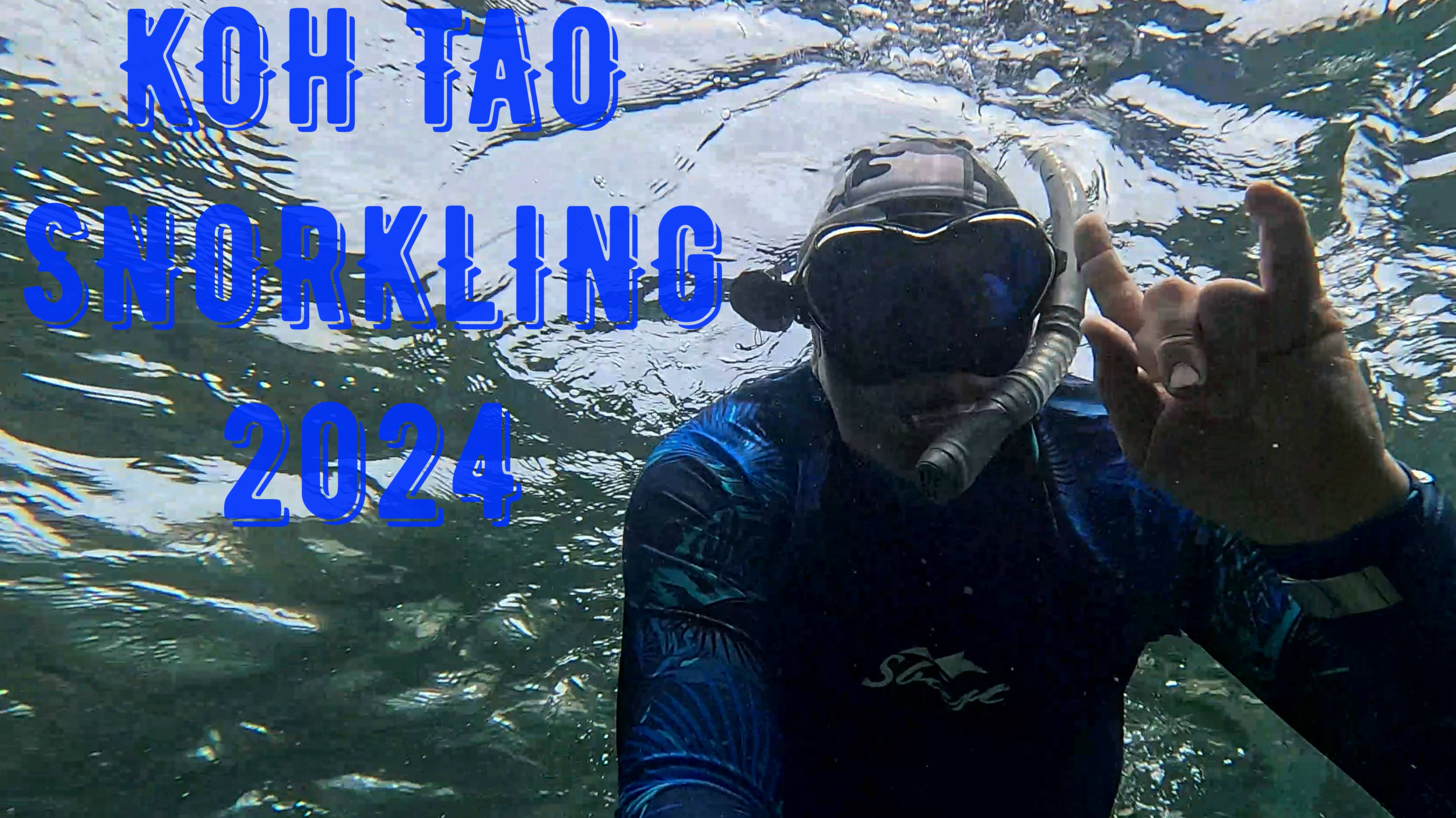 KOH TAO SNORKLING  2024
