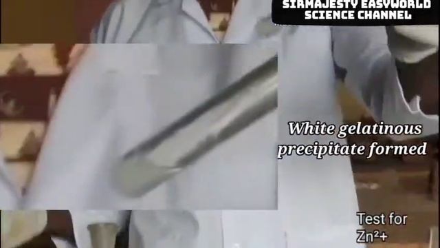 QUALITATIVE ANALYSIS 2. Test for Zinc II ion. Confirmatory Test for Zn²+ смотреть онлайн