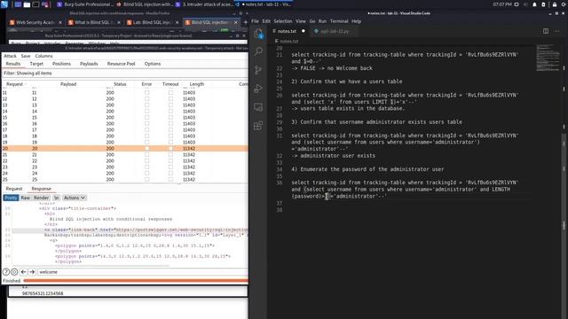 12. Lab 11 - Blind SQL injection with conditional responses смотреть онлайн