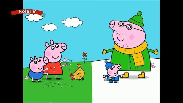 Раскраска свинка пеппа для детей мультик 17 июля смотреть онлайн