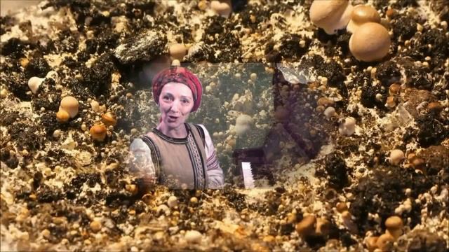 Українська народна пісня 