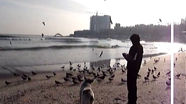 голодные птицы смотреть онлайн