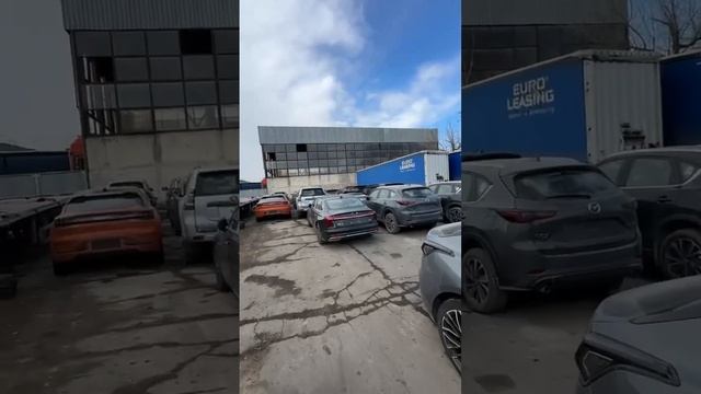 Обзор стоянки,  ждут отправки) #автоизкитая  #автоизкореи #автоизяпонии #zeekr