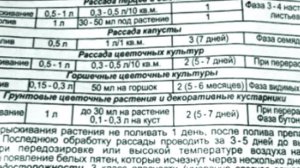 Мой способ применения "Атлета" для мощных корней рассады.  ШПАРГАЛКА №9