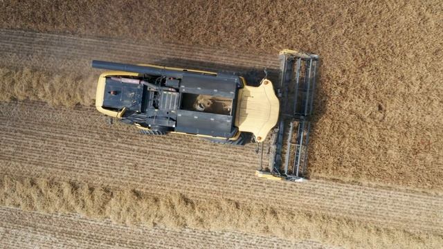 Trebbiatura Orzo 2021 | New Holland CX760 & Laverda 255 LCS смотреть онлайн