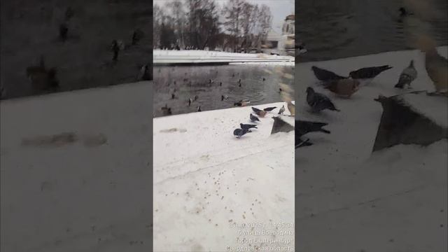 Ekaterinburg Every Day