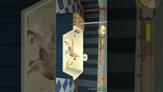 Приют для собак смотреть онлайн