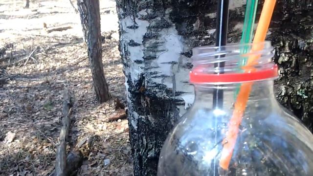 Березовый сок. смотреть онлайн