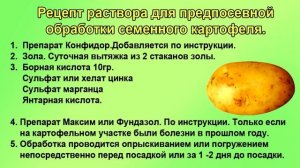 Фермерский метод посадки картофеля.