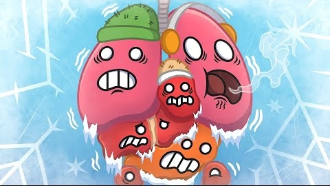 Перезаливы Ютуба