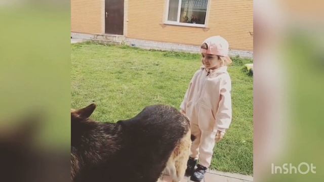 Вредина лайф / Лисёнок смотреть онлайн