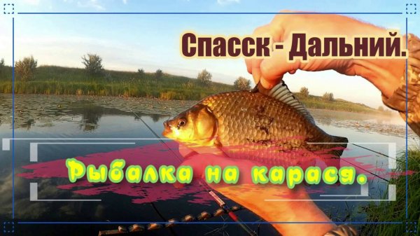 Рыбалка на карася. Спасск- Дальний