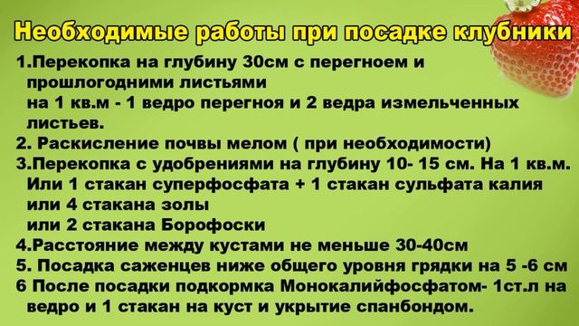 КАК ПРАВИЛЬНО ПОСАДИТЬ КЛУБНИКУ. СЕНТЯБРЬ. ПОДРОБНО ДЛЯ НАЧИНАЮЩИХ. смотреть онлайн