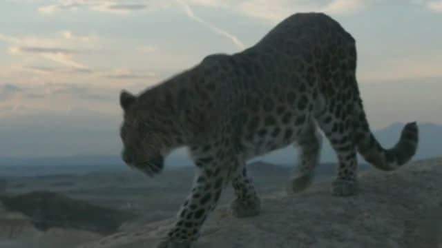 Enigma Feat Aquilo - Amen  (White Motive Remix)