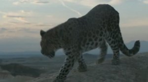 Enigma Feat Aquilo - Amen  (White Motive Remix)