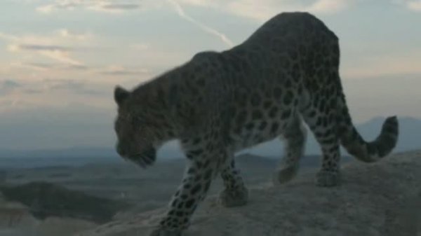 Enigma Feat Aquilo - Amen (White Motive Remix)