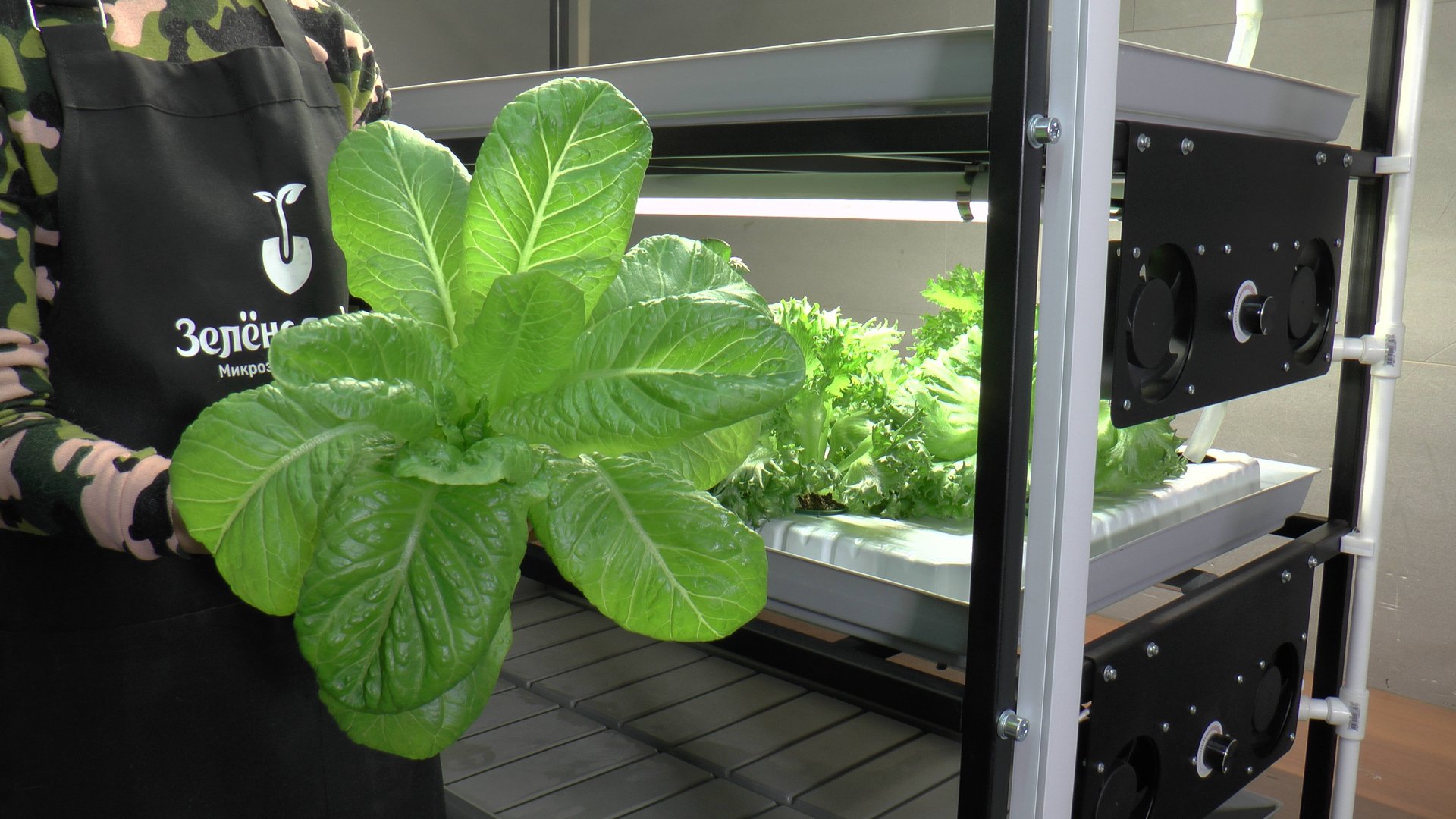 Гидропонная установка для выращивания салатов