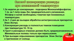 Что делать с рассадой, пока не прогрелась земля? ШПАРГАЛКА №14