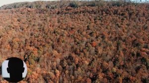 Из жизни. Страшные. Мистические. Творческие истории. Хоррор