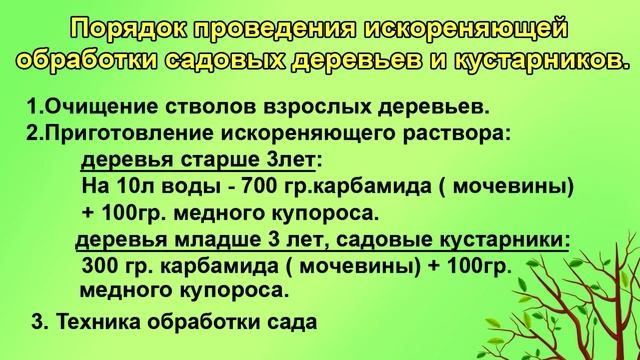 ИСКОРЕНЯЮЩАЯ ОБРАБОТКА САДА. САДОВЫЕ РАБОТЫ В ОКТЯБРЕ смотреть онлайн