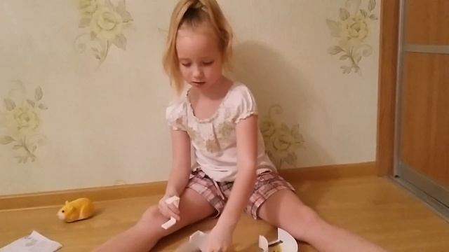 Скейт для хомяка смотреть онлайн