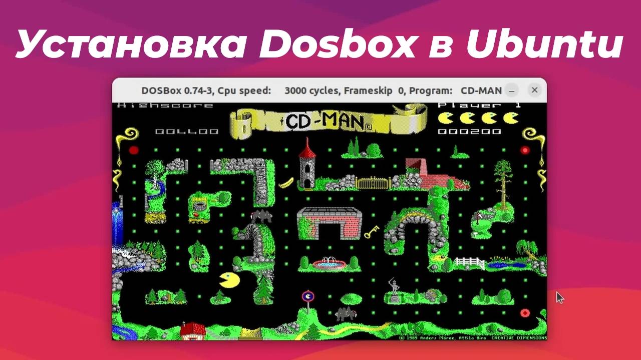 Установка Dosbox в Ubuntu