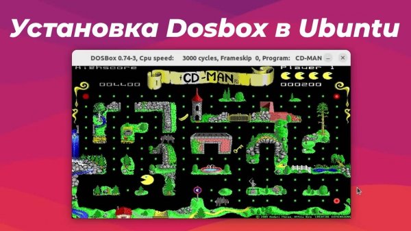 Установка Dosbox в Ubuntu