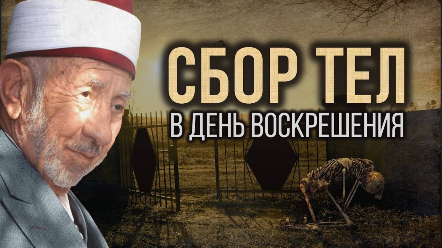 Уроки акыды 55: Сбор тел и возврат душ в День Воскрешения | Реинкарнация в Исламе есть? смотреть онлайн