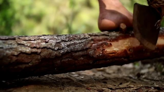 выживание лесу 90 дней.