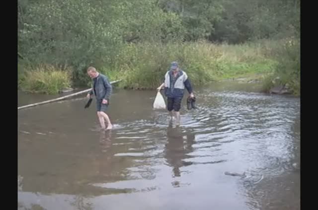 Петрокаменское, июль-сентябрь 2008