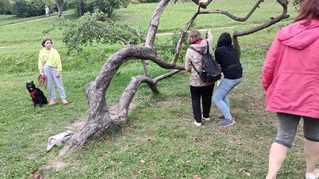 Жил Был Кинолог Моя Жизнь Кино Жил Был Пёс Музей Псов смотреть онлайн