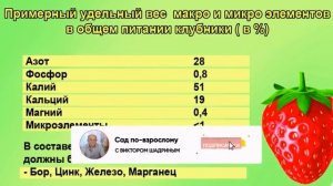 Обязательные подкормки клубники во время плодоношения.
