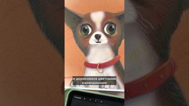 Рисовать на планшете или карандашами? #procreateart #иллюстрация #собачки смотреть онлайн