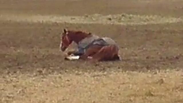 Kyle Rolling смотреть онлайн