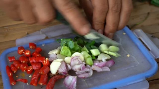 JAMUR KIKIL LIAR MENU MAKAN DI MUSIM HUJAN смотреть онлайн