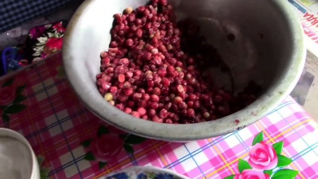 Дочь с фингалом //заготовка огурцов //сидим без света смотреть онлайн