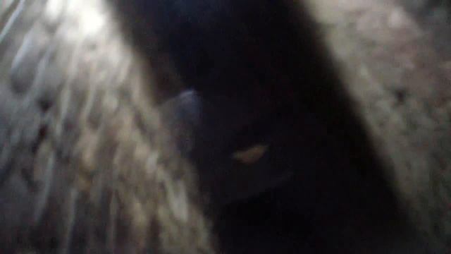 SsangYong Кайрон , ремонт затянется смотреть онлайн