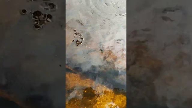 КРОКОДИЛЫ СЛЕДЯТ ЗА НАМИ смотреть онлайн