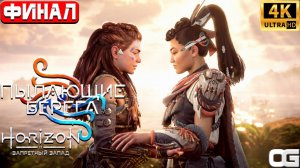 HORIZON ЗАПРЕТНЫЙ ЗАПАД 2024 | ПРОХОЖДЕНИЕ НА ПК | #16 | HORIZON FORBIDDEN WEST