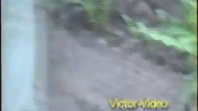 Мшинские пахари