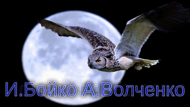 Ночной полёт совы Сл:И.Бойко Муз:А.Волченко смотреть онлайн