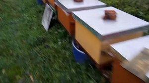 Клещ атакует? С чем пойдëм в зиму?