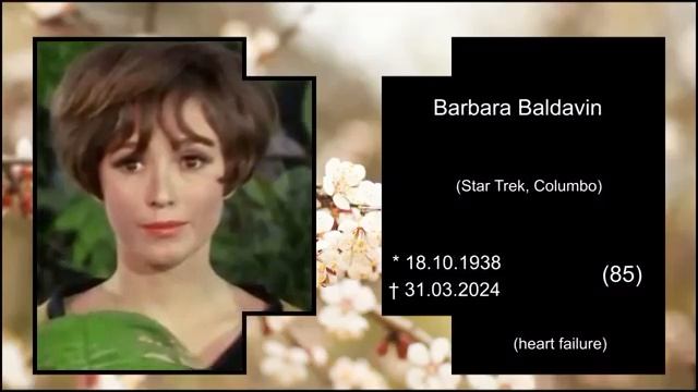 50 голливудских актеров, которые нас покинули в 2024 году смотреть онлайн